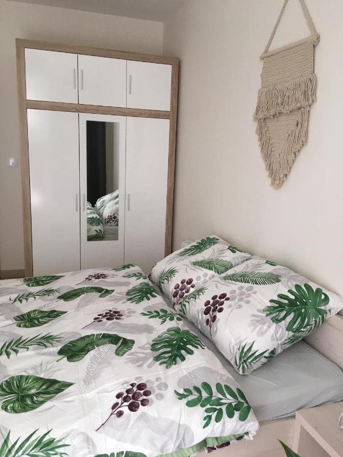 Apartament Na Lipskiej Zamość 外观 照片